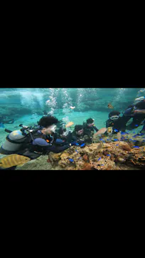 武藤潜水に投稿された画像（2024/3/9）