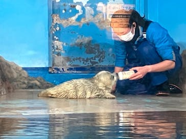 しながわ水族館に投稿された画像（2024/3/9）