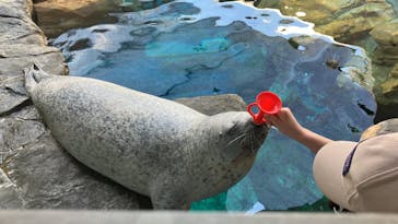 しながわ水族館に投稿された画像（2024/3/9）