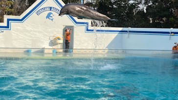 しながわ水族館に投稿された画像（2024/3/9）