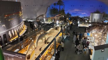 福井県立恐竜博物館に投稿された画像（2024/3/9）