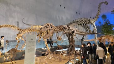 福井県立恐竜博物館に投稿された画像（2024/3/9）