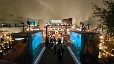 福井県立恐竜博物館に投稿された画像（2024/3/9）