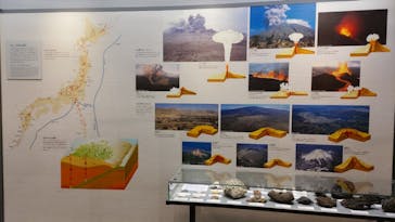 福井県立恐竜博物館に投稿された画像（2024/3/9）