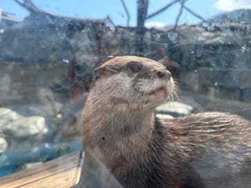 大分マリーンパレス水族館 「うみたまご」に投稿された画像（2024/3/9）