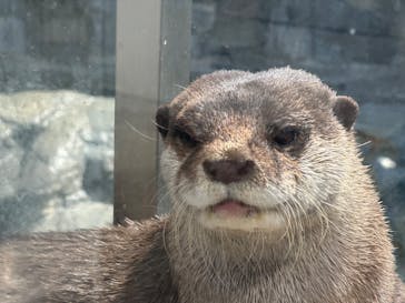 大分マリーンパレス水族館 「うみたまご」に投稿された画像（2024/3/9）