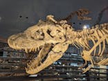 福井県立恐竜博物館に投稿された画像（2024/3/9）