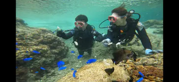 武藤潜水に投稿された画像（2024/3/9）