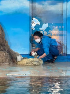 しながわ水族館に投稿された画像（2024/3/9）