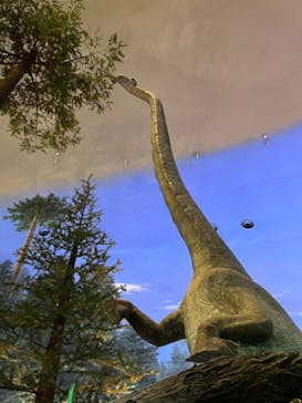 福井県立恐竜博物館に投稿された画像（2024/3/9）