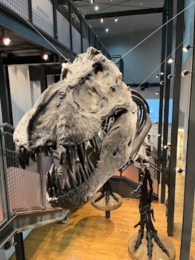 福井県立恐竜博物館に投稿された画像（2024/3/9）