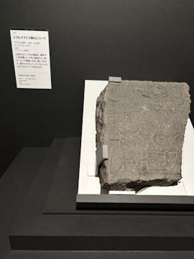特別展「古代メキシコ ーマヤ、アステカ、テオティワカン」に投稿された画像（2024/3/9）