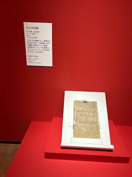 特別展「古代メキシコ ーマヤ、アステカ、テオティワカン」に投稿された画像（2024/3/9）