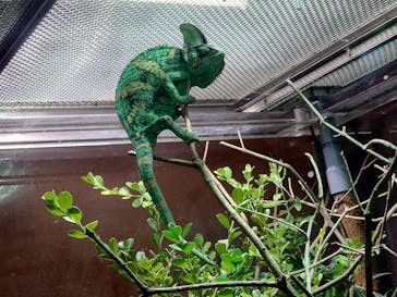 マクセル アクアパーク品川に投稿された画像（2024/3/9）