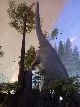福井県立恐竜博物館に投稿された画像（2024/3/9）