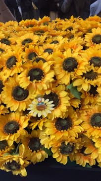 ゴッホ・アライブに投稿された画像（2024/3/9）