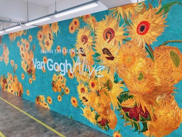 ゴッホ・アライブに投稿された画像（2024/3/9）