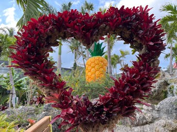 ナゴパイナップルパークに投稿された画像（2024/3/9）