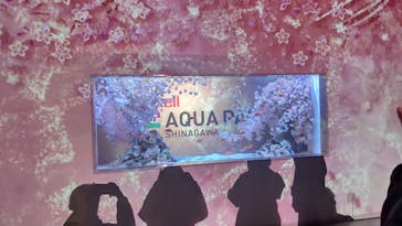 マクセル アクアパーク品川に投稿された画像（2024/3/9）