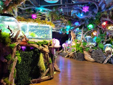 NARA IKIMONO MUSEUMに投稿された画像（2024/3/9）