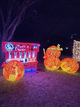 大阪城イルミナージュに投稿された画像（2024/3/9）