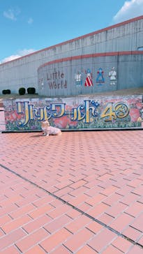 野外民族博物館 リトルワールドに投稿された画像（2024/3/9）