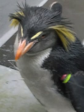 AOAO SAPPOROに投稿された画像（2024/3/9）