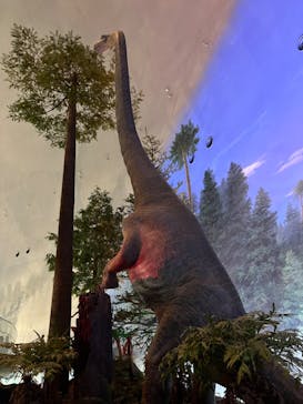 福井県立恐竜博物館に投稿された画像（2024/3/9）