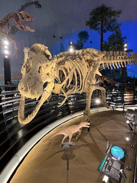 福井県立恐竜博物館に投稿された画像（2024/3/9）