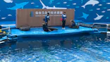 仙台うみの杜水族館に投稿された画像（2024/3/9）