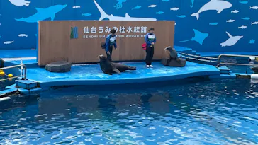 仙台うみの杜水族館に投稿された画像（2024/3/9）