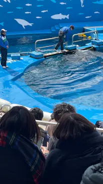 仙台うみの杜水族館に投稿された画像（2024/3/9）