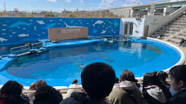 仙台うみの杜水族館に投稿された画像（2024/3/9）