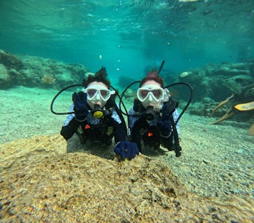 沖縄マリンサービス碧に投稿された画像（2024/3/9）