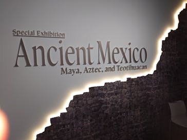 特別展「古代メキシコ ーマヤ、アステカ、テオティワカン」に投稿された画像（2024/3/9）