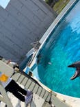 沖縄美ら海水族館に投稿された画像（2024/3/9）