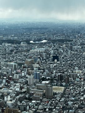 ハルカス300(展望台)に投稿された画像（2024/3/9）