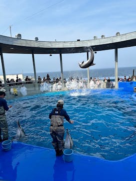 大分マリーンパレス水族館 「うみたまご」に投稿された画像（2024/3/9）