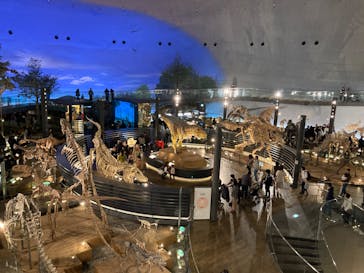 福井県立恐竜博物館に投稿された画像（2024/3/9）