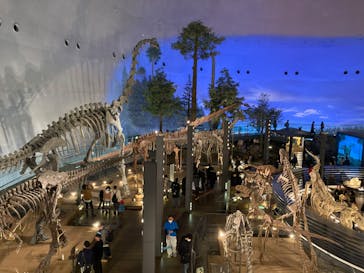 福井県立恐竜博物館に投稿された画像（2024/3/9）