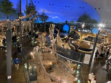 福井県立恐竜博物館に投稿された画像（2024/3/9）