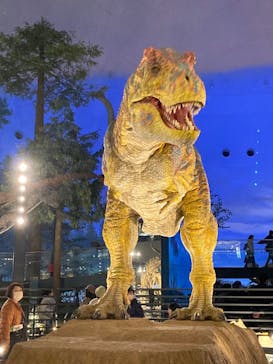 福井県立恐竜博物館に投稿された画像（2024/3/9）