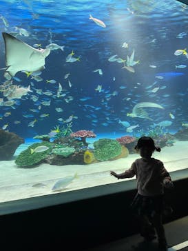 サンシャイン水族館に投稿された画像（2024/3/9）