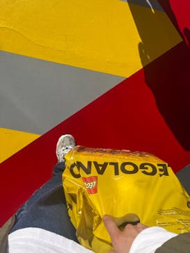 レゴランドⓇ・ジャパン・リゾートに投稿された画像（2024/3/9）