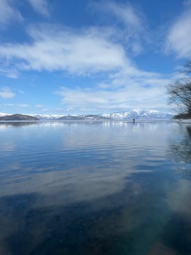 Matatabi（マタタビ）に投稿された画像（2024/3/9）