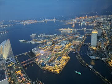 横浜ランドマークタワー 69階展望フロア スカイガーデンに投稿された画像（2024/3/9）