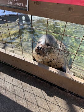 那須どうぶつ王国に投稿された画像（2024/3/9）