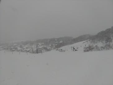 白馬コルチナスキー場に投稿された画像（2024/3/9）