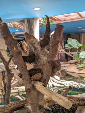 那須どうぶつ王国に投稿された画像（2024/3/9）