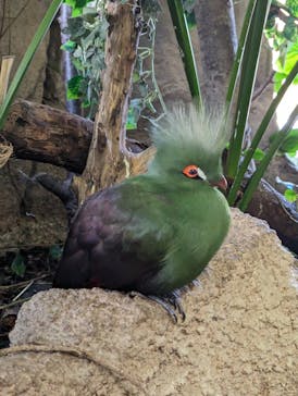 那須どうぶつ王国に投稿された画像（2024/3/9）